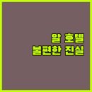 호텔 알 | 세부 알 호텔 마볼로.. 후기에서 말하지 않는 불편한 진실! 온수 문제는 정말일까?