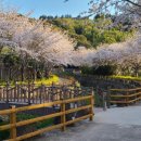 서홍동 주민센터 이미지