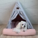 펫하우스 | 강아지집 추천, 꿀잠 보장 펫브랜디 소형견 텐트 하우스 후기