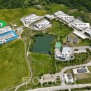 피카소 목장 이미지