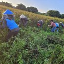고산농업협동조합 이미지