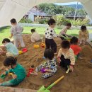 배화어린이집 이미지