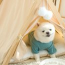 퍼플하우스