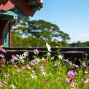 사찰약수터 이미지