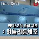 하늘리듬체조 - 오산시 문시로 183-4 | 하늘리듬체조