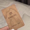 퀸호텔 | 아마넥 신주쿠 가부키초 도쿄 호텔 스탠다드 퀸베드 후기