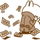 반려견 셀프미용 이미지