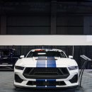 Oxford White, Blue Stripe GT350 이미지