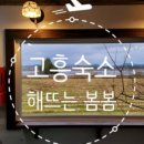 해뜨는봄봄 이미지