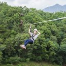 문성자연휴양림 이미지