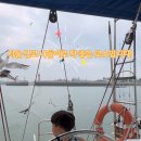 첫걸음요트클럽