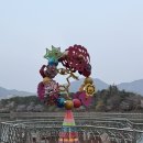 용지호수공원 | 🌸 창원 용지호수공원 러닝코스 &amp; 벚꽃 개화현황 (2026 최신 후기)