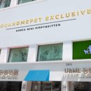 리얼펫강아지고양이분양