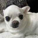 김신경정신과의원 이미지