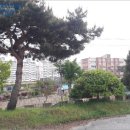 홍성주유소 네이버블로그