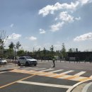 연기면_호수공원중앙수목원로 이미지