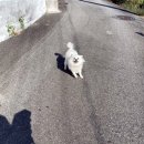 삼봉주유소 Daum카페