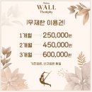 화명동 요가원] 체형 교정, 혈액순환에 좋은 월(wall) 요가원, &#39;미채 요가 월테라피&#39;(1회 무료 체험 후기)