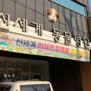 신세계동물병원 티스토리