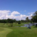 그린벨리 이미지