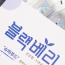 그대로담다