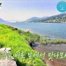 서종약국 네이버블로그