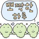 카페누베