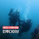 다이브인투 | 제주도 스쿠버다이빙 체험 서귀포 인투다이브 후기