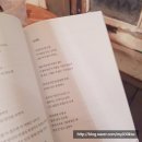 주식회사알록 네이버블로그