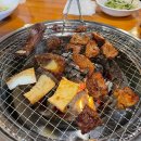 조치원_홍익대학교 정문 이미지