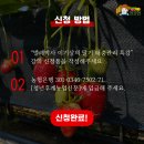 해충박사