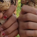 (주)대풍환경 이미지