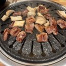 꼽슬돼지 이미지