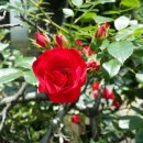 오월펜션 이미지