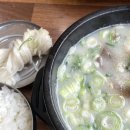 경성설렁탕 - 창원시 마산회원구 315대로 629 | 경성집_수원 설렁탕 맛집 추천 내돈내산 후기