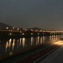 아라곤충 이미지