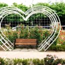 서천 장미공원 이미지