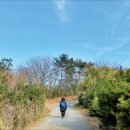 옥류천이야기길(소망길) 이미지