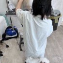 미용사 Daum카페