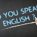 뉴월드인터네셔널 이미지