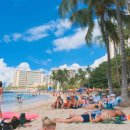 와이키키 이미지