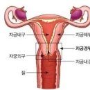 온기한의원 이미지