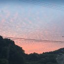 엘리스모텔 이미지