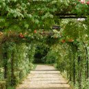 에덴의 집 이미지