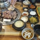 저8계콧9멍