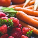 용인대 자양복싱 이미지