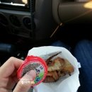 MBC가요베스트 | 10월 경북가을축제/MBC가요베스트/영천한약축제에 다녀온 후기 :D