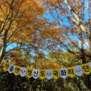 슬로시티청산도 미디어이슈