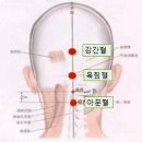 비알한의원 Daum카페