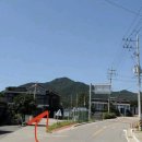 함께놀개 | 인천 펫테라피 ‘함께놀개’ 반려동물호텔 강추후기! (수영 전-후-마사지중 강쥐표정 주목)